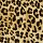 Masland Carpets: Leopard Big Cat